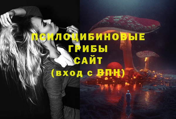 мдма Медногорск