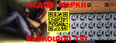 МДПВ Новозыбков