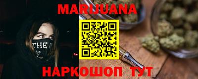 МДПВ Новозыбков