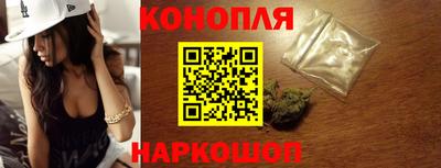 МДПВ Новозыбков