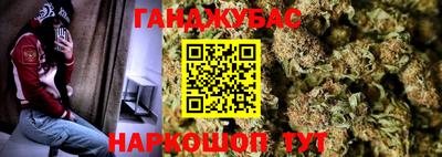 МДПВ Новозыбков