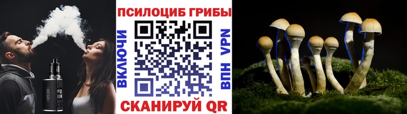 Псилоцибиновые грибы ЛСД Тында