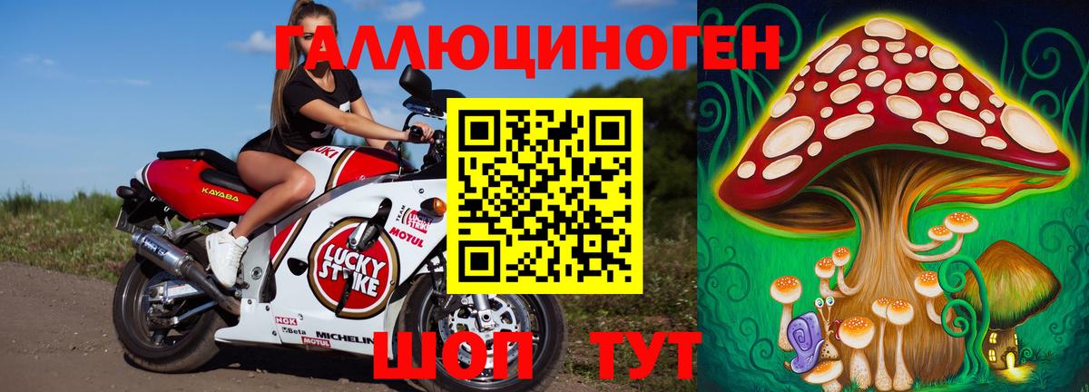 Тында  Псилоцибиновые грибы ЛСД  Галлюциногенные грибы Cubensis  Вход с VPN 